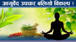 आयुर्वेदिक उपचार आधुनिक औषधिभन्दा उत्कृष्ट ! उपचारको राम्रो विकल्प