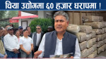 भारतलाई काउन्टर दिने उपायः तेस्रो मुलुकमा चिया बजार विस्तार