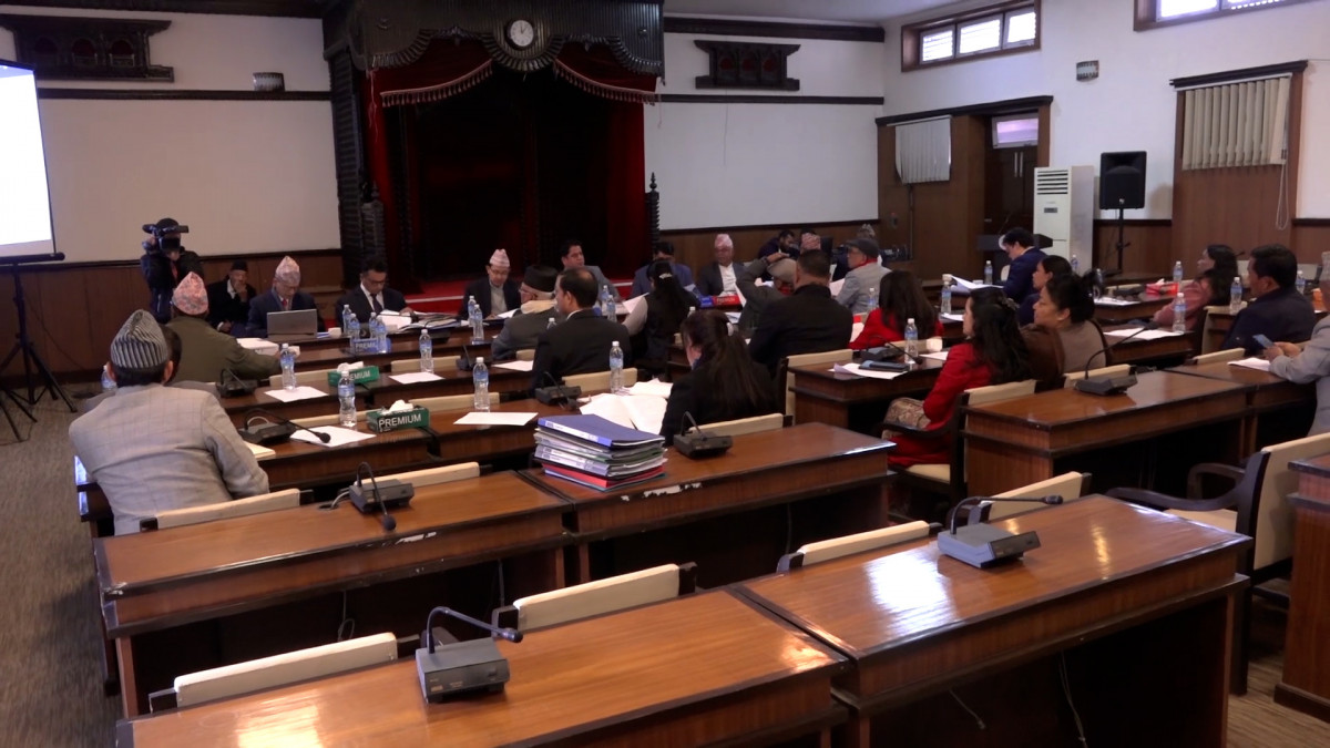 विद्युतीय व्यापारसम्बन्धी विधेयक उद्योग समितिबाट पारित