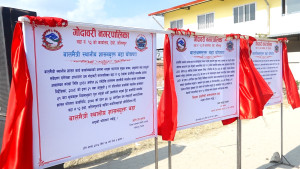 गोदावरीको वडा नम्बर १२ 'बालमैत्री' वडा घोषणा