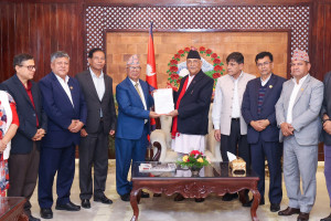 माधवको टिमले बुझायो प्रधानमन्त्रीलाई मागपत्र