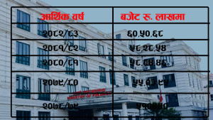 प्रत्येक वर्ष बढ्दैछ रक्षाको बजेट : हतियार खरिददेखि सेनाको तलबसम्म ठूलो खर्च