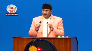 संघीय निजामती सेवा विधेयक प्रतिवेदन संसदमा पेश