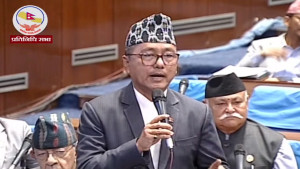 राप्रपाद्वारा संसद बैठक बहिष्कार, भत्ता पनि नलिने