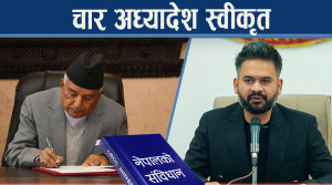 प्रतिष्थापन विधेयक ल्याउने बाटो खुल्यो