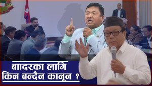 बाँदर आतंक नियन्त्रणका लागि कानून बनाउन दबाब