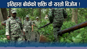 इतिहास बोकेको सशस्त्र वनरक्षक बल : वेमतलबी सरकार