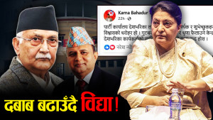 विद्याको बढ्दो सक्रियता, नजरमा विधान महाधिवेशन