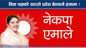 ओली–विद्याबीच प्रदेश बैठकमै टकराव ! अब दोहोरै एक्सनको सम्भावना ! 
