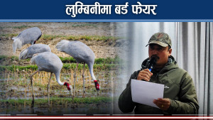 पन्छी–पर्यटन विकाशका लागि तेस्रो ‘नेपाल बर्ड फेयर’ गरिँदै