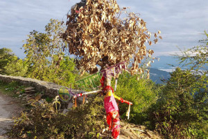 सुदूरपश्चिमका पहाडी जिल्लामा मनाइयो बूढी पोल्ने पर्व