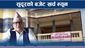 केन्द्रकै रोग देखियो प्रदेशमा पनि 