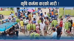 अशान्त बन्यो लालबन्दी बजार, नगरपालिका मूकदर्शक ! 
