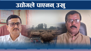 उखु अभावले चैत्रमै उद्योग बन्दको अवस्थामा, क्रसिङ्ग बन्द