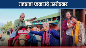 प्रचारको पुरानै शैली, विकास निर्माणको आश्वासन