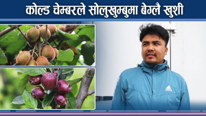 सोलुखुम्बुमा ५ कोल्ड चेम्बर, किसानहरुको मुहार उज्यालो 