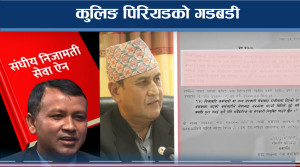 समिति गठनमै ‘चलखेल’, सचेत हुन सिफारिस 