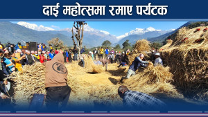 पोखरामा दाई महोत्सवको रौनक, स्वदेशीदखि विदेशीसम्म मख्ख