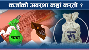 कर्जा प्रवाहमा सुधार, कुन क्षेत्रमा के–के हुँदैछ ?