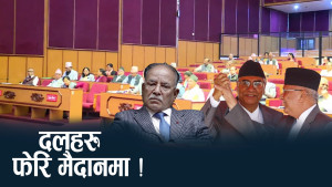 राष्ट्रियसभाले जोख्दै दलहरुको वजन, माघ ११ को नाफा–घाटा कस्तो ?