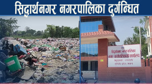 फोहोर व्यवस्थापन चुनौति बन्दै, सिद्धार्थनगरमा थुप्रियो फोहोरको डंगुर