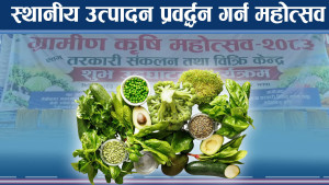 झापाको विर्तामोडमा महोत्सव, स्टलभरी स्थानीय उत्पादन