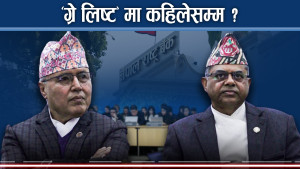 मनि लाउन्ड्रिङ अपराधीको सम्पत्ति तत्काल जफत गर्न सुझाव