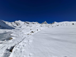 यलुङ-रि  हिमपहिरो : २ नेपालीकाे मृत्यु पुष्टि,  ५ विदेशीको अवस्था अज्ञात