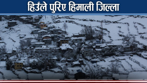 हिमाली जिल्लाभरि हिमपात, किसान खुशीले गद्गद्