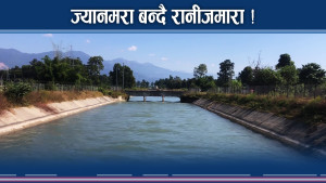 रानीजमरा ज्यानमारा ! बालबालिका जोगाउनै मुस्किल