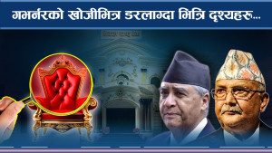 स्वायत्त निकायका पदाधिकारी बने राजनीतिक कठपुतली 