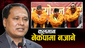 सबैभन्दा बढी एकता गर्ने दल नेकपासँग किन जोडिएनन् कुलमान ?