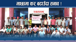 माछा व्यवसायी नगर घेराउमा उत्रिए, करको दरले तनाव