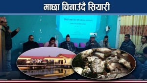 कृषि उत्पादन र माछाको ब्राण्डिङका लागि महोत्सव तयारी