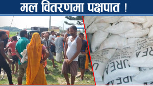 विष्णुपुर पालिकामा मल वितरणमा पक्षपातको आरोप, किसान सडकमा