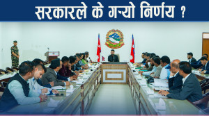 नेप्सेको अध्यक्ष नियुक्त गर्न समिति, सरकारकले गरेका ५ निर्णय के ?