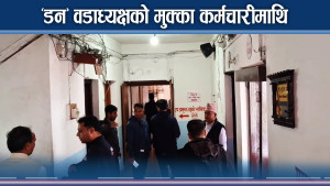 पोखरा महानगरमा वडाध्यक्षको आतंक, वर्षियो मुक्का 