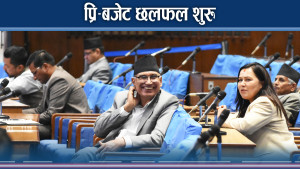 बजेटमा सांसदहरुको आ–आफ्नै चासो र चिन्ता