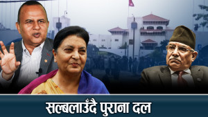 पुराना दललाई संविधान जोगाउने चिन्ता