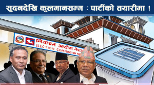 कतै एकता, कतै विभाजन, नयाँ पार्टी खुल्ने क्रम जारी