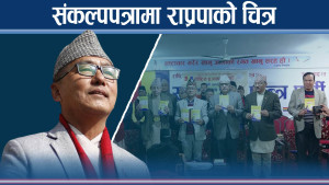 राप्रपा हिन्दु राष्ट्रदेखि राजासम्मः प्रत्यक्ष निर्वाचित कार्यकारी गायब, लिङ्देन ब्याक !