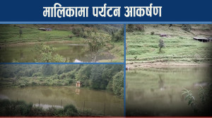 म्याग्दीको मालिका गाउँपालिका पर्यटकको रोजाईमा