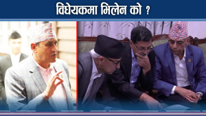 निजामति विधेयकले सत्ता संकट चुलियो