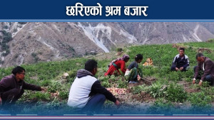 कृषिमा आधाभन्दा बढी जनशक्ति, उत्पादन भने न्यून