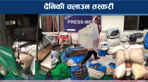 मधेसका जिल्लाहरु तस्करीको मुख्य मार्ग 