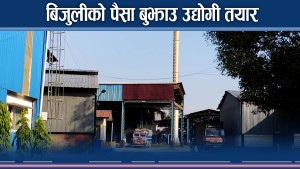 रुपन्देहीका ४ उद्योगले बुझाए विद्युत बक्यौता रकम, बिजुली जोडियो