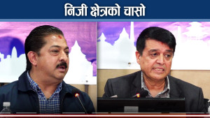 चुनावी घोषणापत्रमै दलीय प्रतिवद्धताको खोजी