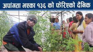 अपाङ्गता बाधा होइन अवसरः आत्मनिर्भर बन्दै सिन्धुपाल्चोकका १३६ जना