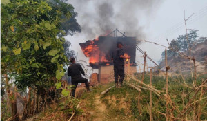 सोलुखुम्बुमा डढेलोले दश घर जले, दर्जनौँ पशुचौपाया हताहत