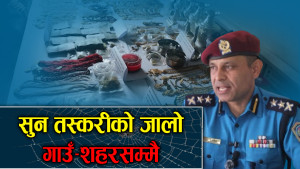 सुन तस्करीको सञ्जाल विमानस्थलदेखि गाउँ–शहरसम्म